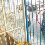 ¿Extorsión? Desde motocarro atacan a bala a mujer en el barrio Hipódromo