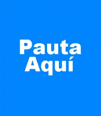 Publicidad-Buenisima2-300x600-1